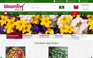Blooming Direct Coupons & Promo Codes
