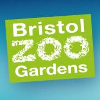 Bristol Zoo Coupons & Promo Codes