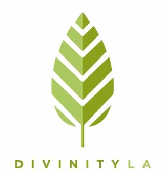 Divinityla Coupons & Promo Codes