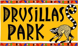 Drusillas Park Coupons & Promo Codes