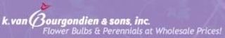 K. Van Bourgondien &amp; Sons Coupons & Promo Codes