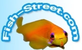 Fish-street Coupons & Promo Codes