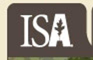 Isa Arbor Coupons & Promo Codes