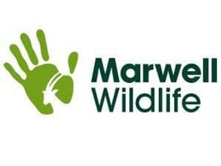Marwell Wildlife Coupons & Promo Codes