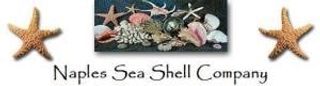Naples Sea Shell Company Coupons & Promo Codes
