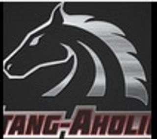 Stang-aholics Coupons & Promo Codes