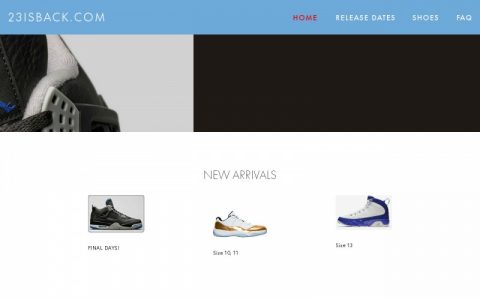 23isback retro 11